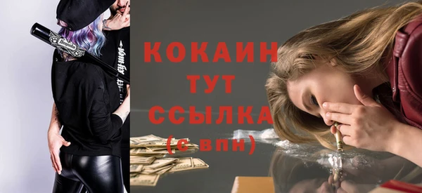 соль ск Богородицк