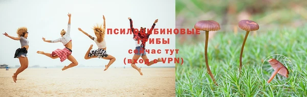 соль ск Богородицк