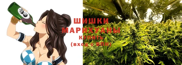 соль ск Богородицк