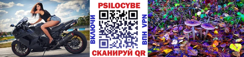 Купить где  Лянтор  Псилоцибиновые грибы Psilocybe 