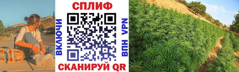 Марихуана гибрид  Купить где  Лянтор 